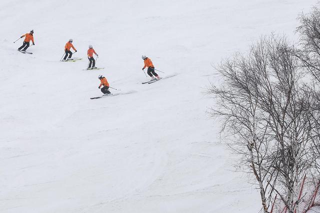 谈球吧体育当柳叶刀遇到滑雪板滑雪医生保障极限救援(图2)