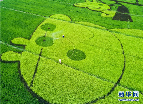 美丽乡村迎来乡村旅游热