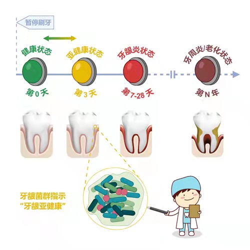 牙龈亚健康概念及其分子机制揭示为牙周病预防与早诊断提供新思路