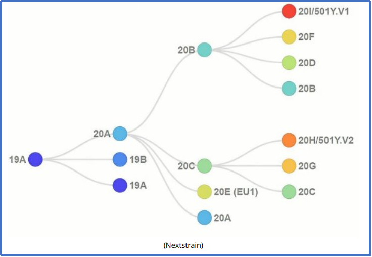  不能让政治病毒“感染”科学溯源