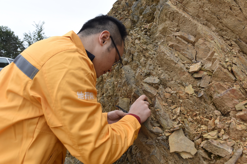 重庆秀山发现4 36亿年前鱼化石 戴头盔眼朝天还是个科长 为志留纪地层划分提供新证据 中国科技网