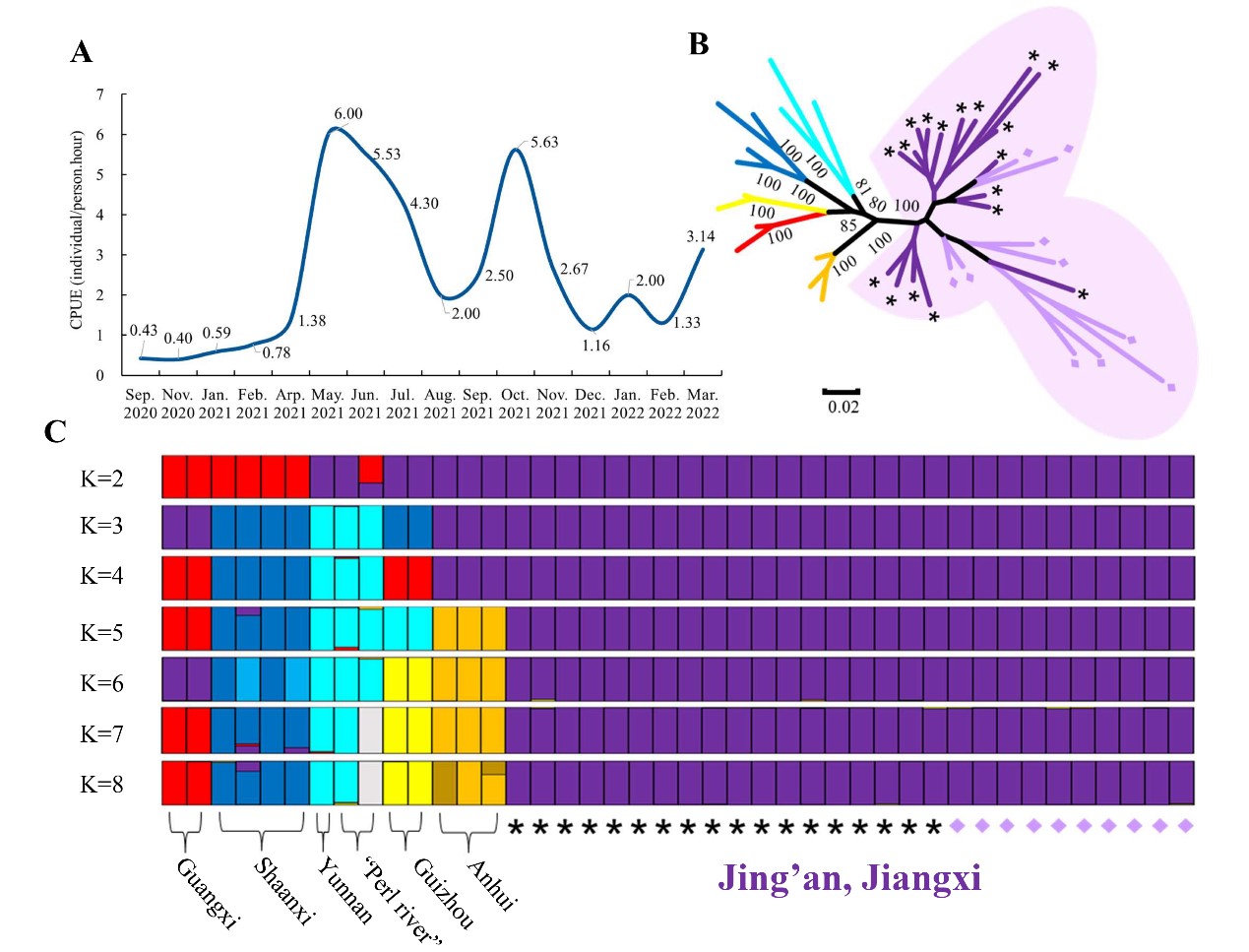 科学探索|科学家发现我国首个纯种江西大鲵野生种群