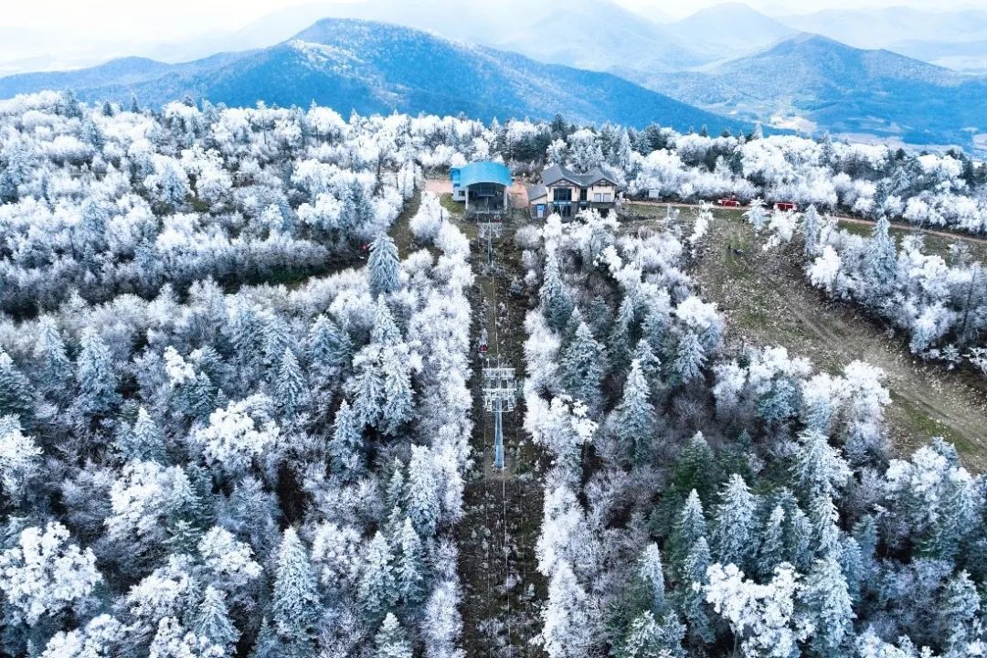 首场高山雾凇来了