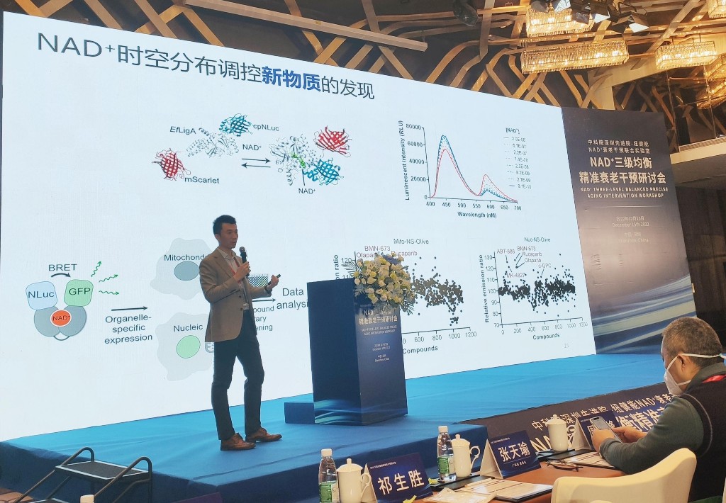 半岛·综合体育中国官网NAD+干预为心脑血管疾病治疗提供新思路(图2)