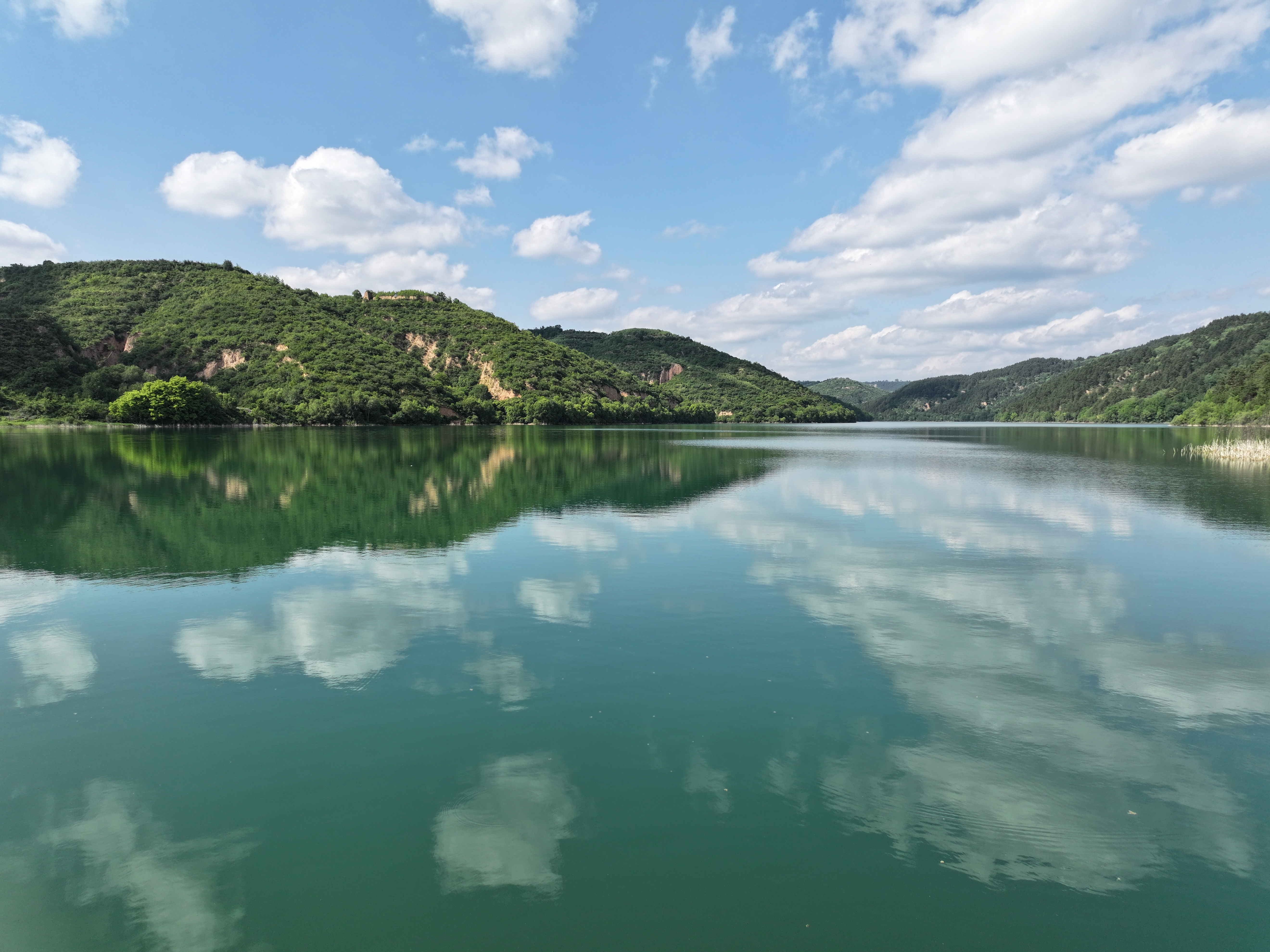 半岛(中国)体育·官方网站高质量发展调研行丨陕西洛川县：苹果“吃饱喝足长得壮”(图3)