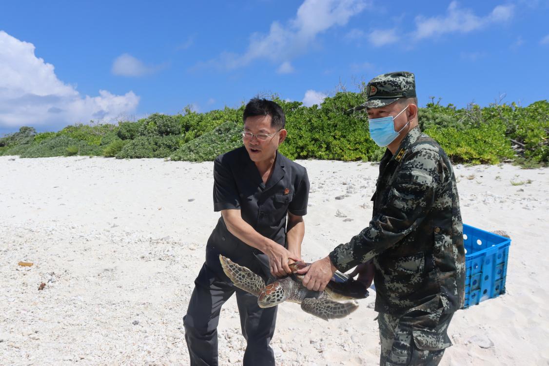 海南三沙海警局开展野生海洋动物放归大自然活动